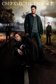 Сверхъестественное 8 сезон