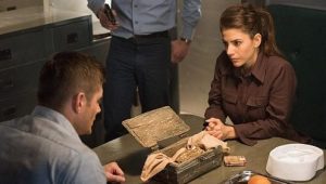 14 серия Оболочка