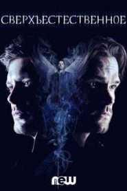 Сверхъестественное 14 сезон