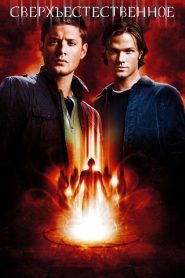 Сверхъестественное 5 сезон