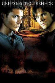 Сверхъестественное 3 сезон